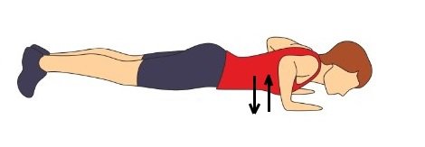 Pushup and Hold Exercise