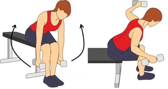 Seated Back Fly Exercise