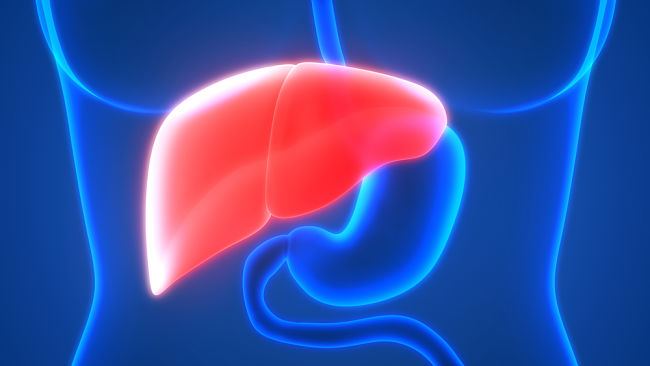 How to regenerate the liver