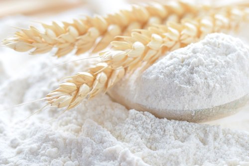 Stop Eating Flour